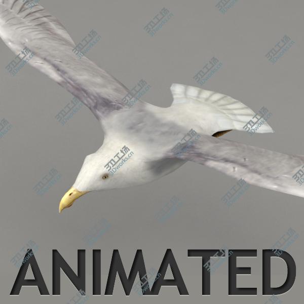 images/goods_img/202105074/Lowpoly animated seagull/1.jpg